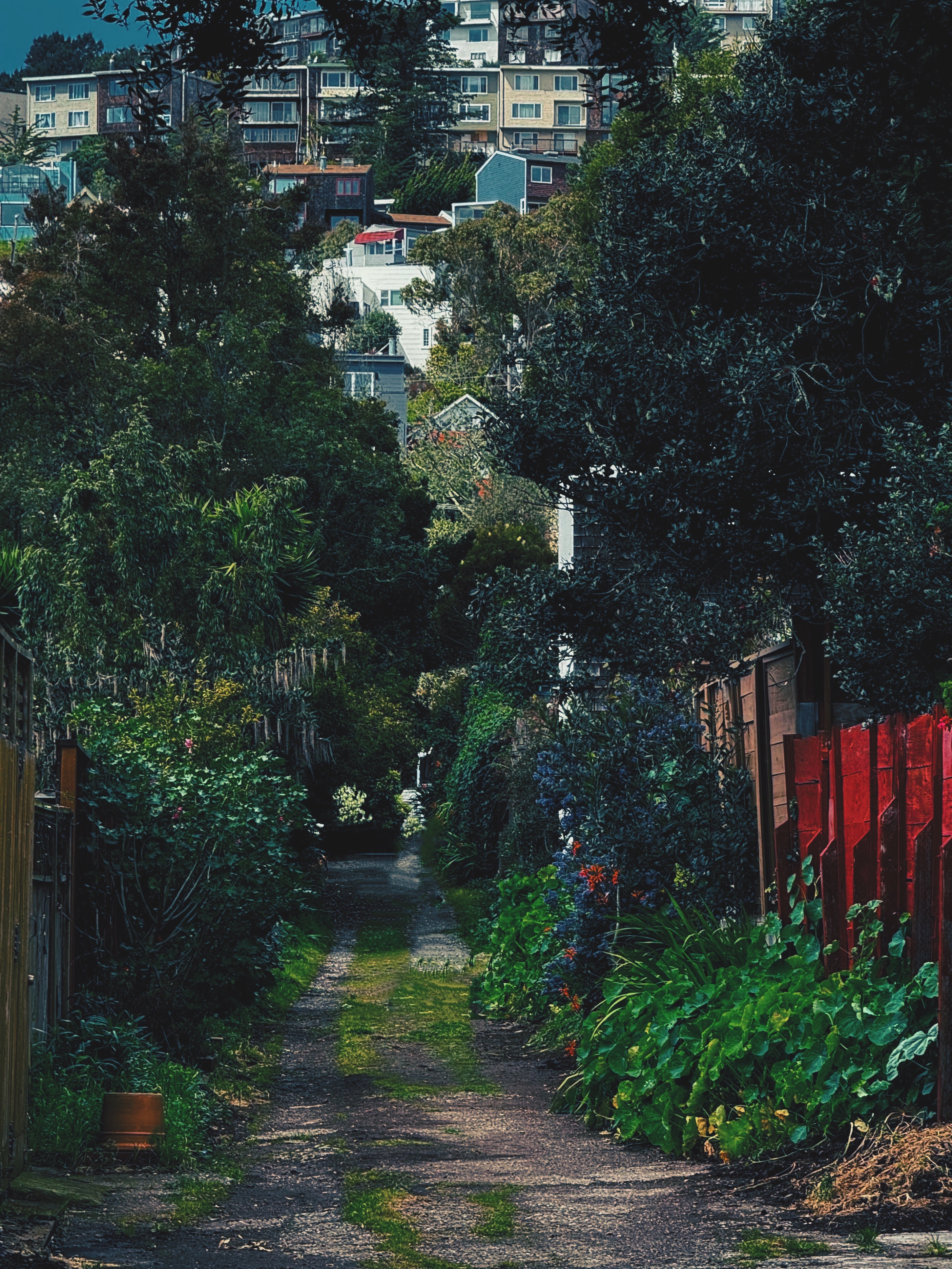 North Beach